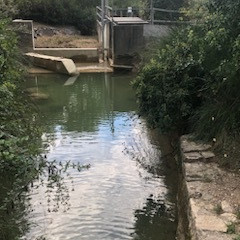 RANDO PEYPIN D'AIGUES JEUDI 24 SEPTEMBRE 2026
